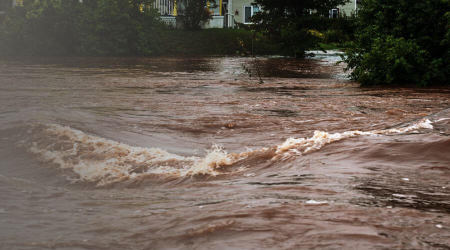 Why choose water damage restoration service for commercial flood cleanup in Spring